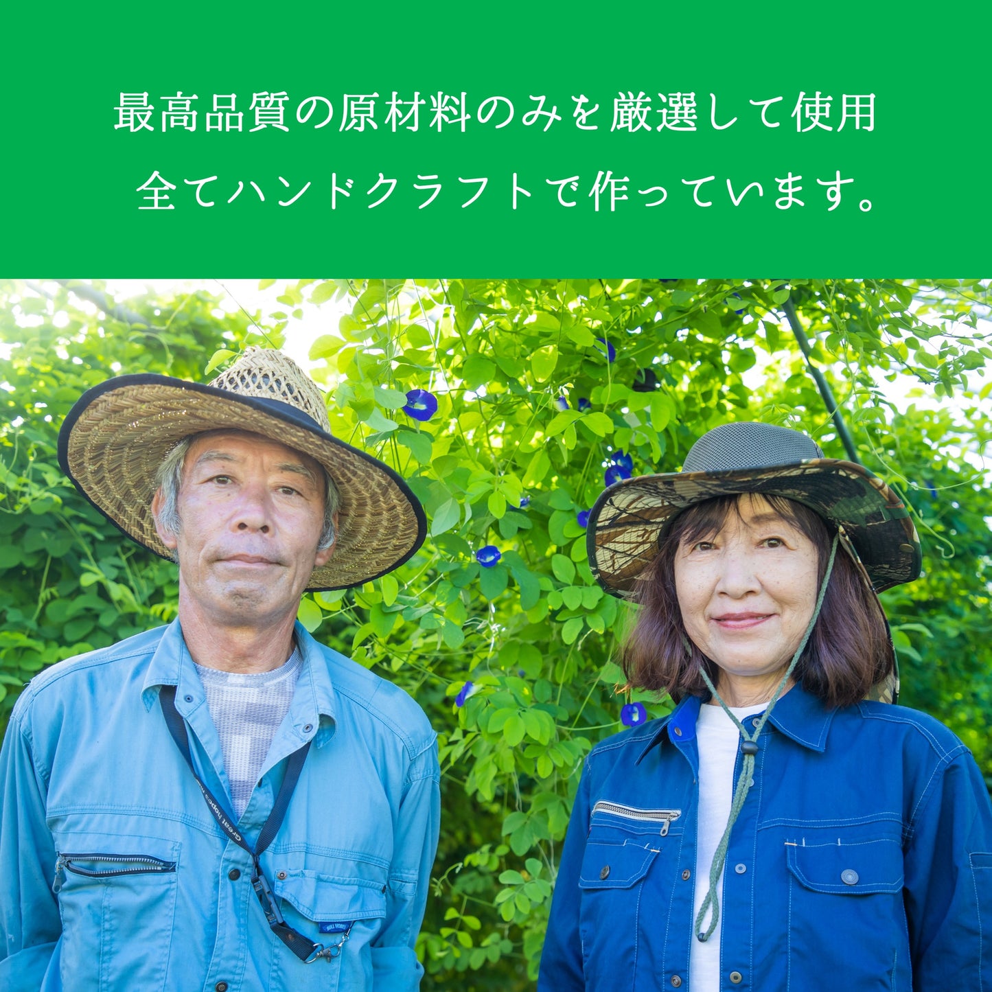 琉球蒼茶 沖縄県産バタフライピー ティーバック 8包 黒糖生姜ソルト