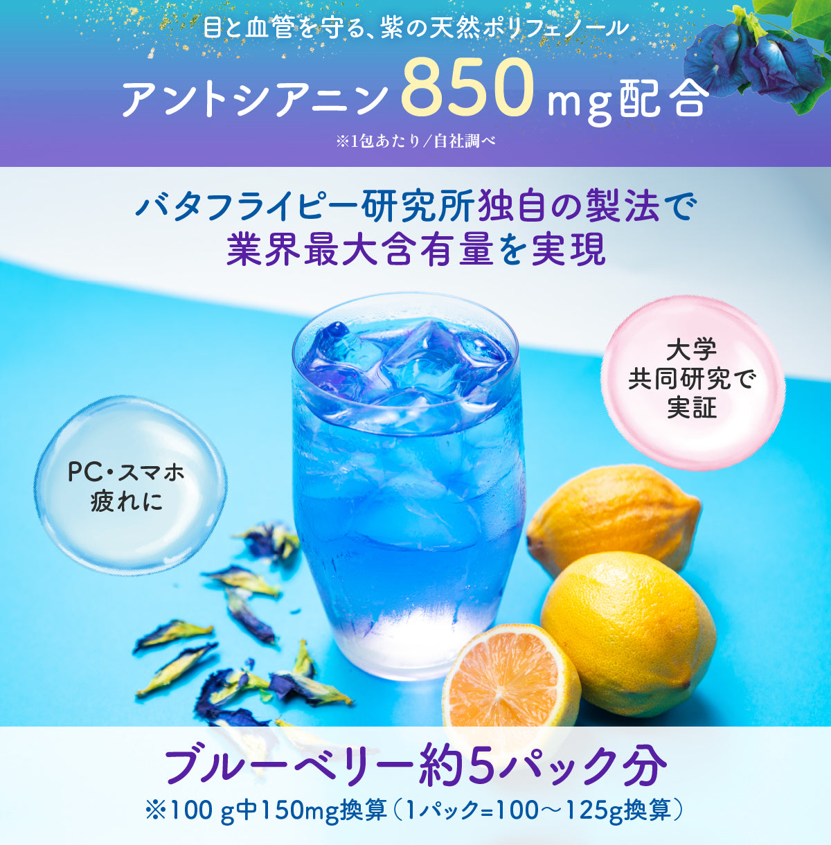 琉球蒼茶　沖縄県産バタフライピー ティーバック　8包　パイナップル