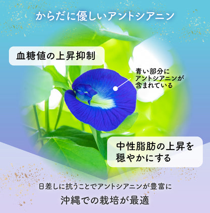 Ryukyu Aocha Okinawa Butterfly Pea Tea Bags (8 Tea Bags) - Purple Sweet Potato