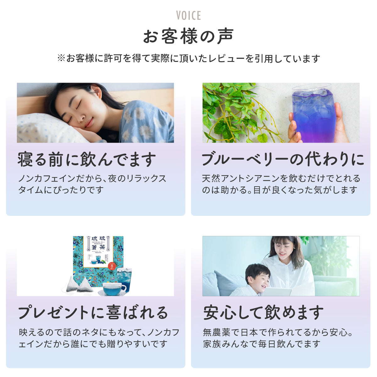 琉球蒼茶 沖縄県産バタフライピー ティーバック 8包 オリジナル